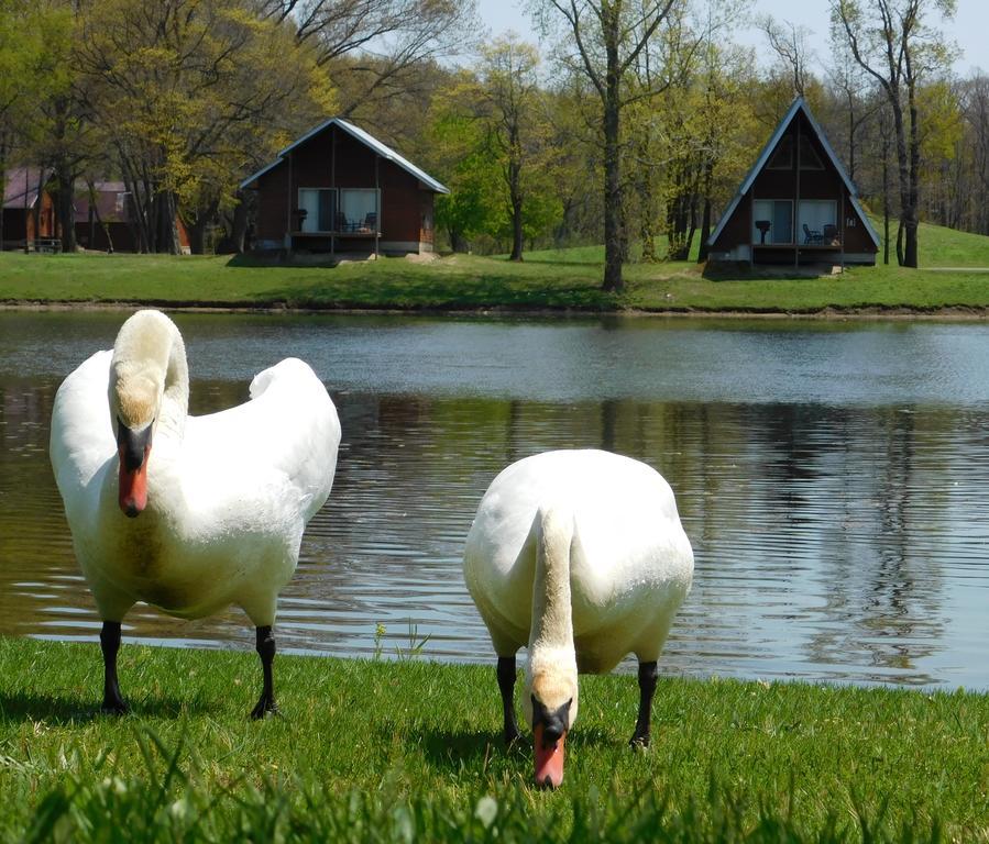 Serenity Springs - Michigan City Hotell Springfield Exteriör bild