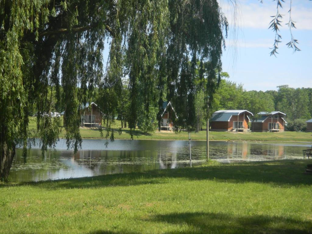 Serenity Springs - Michigan City Hotell Springfield Exteriör bild