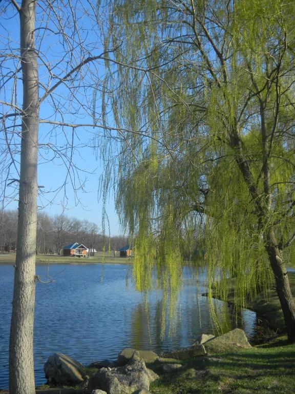 Serenity Springs - Michigan City Hotell Springfield Exteriör bild