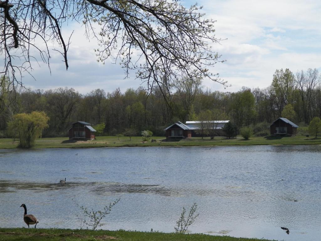 Serenity Springs - Michigan City Hotell Springfield Exteriör bild